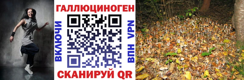 Купить закладки  Тарко-Сале  Галлюциногенные грибы ЛСД 